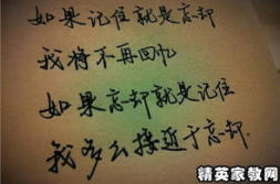 优美的句子摘抄大全,感悟人生,启迪智慧