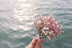 手机最好看的头像,手机最好看头像生成攻略