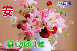 空间祝福语大全,温馨问候,情感传递